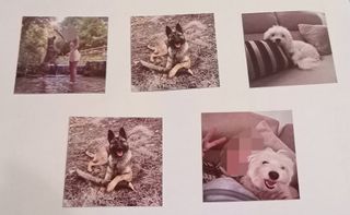 OBSEQUIOS PERSONALIZADOS (IMANES, BIBERONES, ETC)