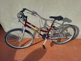 Bicicleta de Montaña