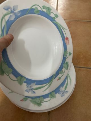 Juego de 19 platos de porcelana