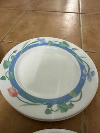 Juego de 19 platos de porcelana