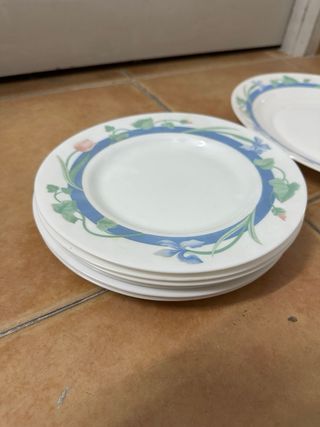 Juego de 19 platos de porcelana