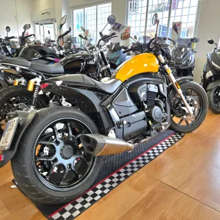 LEONART PILDER Euro 4 (+DE 15cv) 2020 - 5 mil km