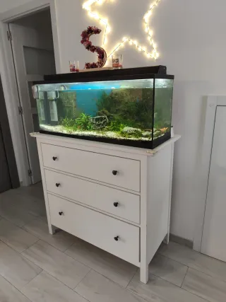 Acuario 120L completo