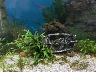 Acuario 120L completo