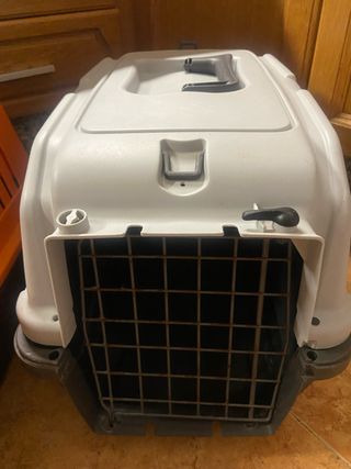 Transpirtin animales