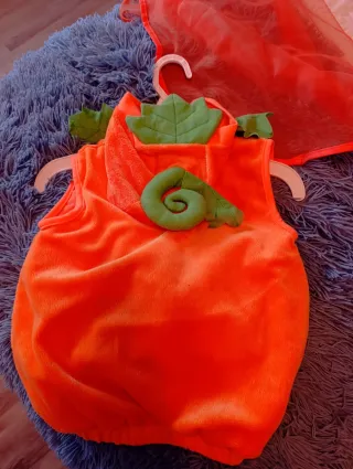 Disfraz Calabaza Talla 18/24 Meses