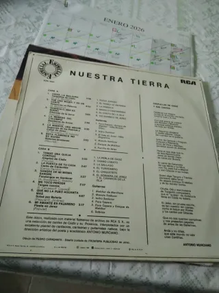 Lote 2 Vinilos Flamenco y Sevillanas