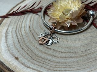 ✨Charm Family Letras Colgantes Oro Rosa