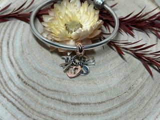 ✨Charm Family Letras Colgantes Oro Rosa