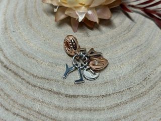 ✨Charm Family Letras Colgantes Oro Rosa