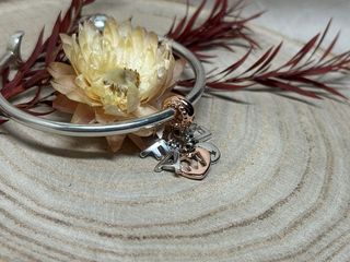 ✨Charm Family Letras Colgantes Oro Rosa