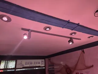 Bascula, focos, especial de pescaderia .