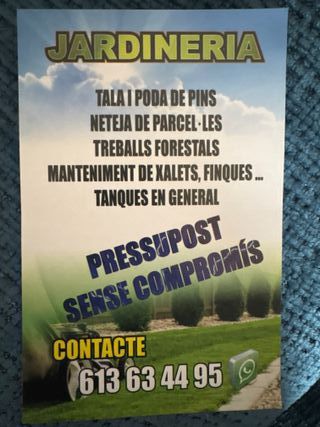 Servicios de jardinería Presupuestos sin compromi