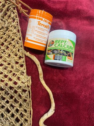 Accesorios para terrario: temporizador, red, etc.