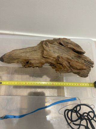 Accesorios para terrario: temporizador, red, etc.