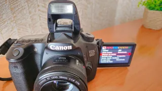 Cámara Canon 60D + Lente 50mm + Accesorios