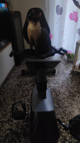 Bicicleta Estática Reclinada Poco Uso