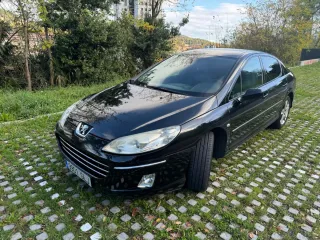 Peugeot 407 2009
