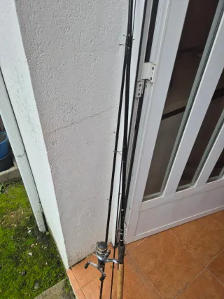 2 Cañas Inglesa Milo Helios Prestige 4.20