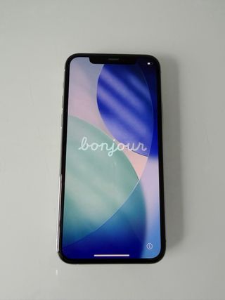 iPhone 11 Pro 256GB Argento e bianco