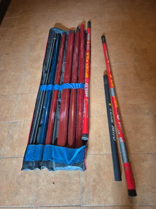 Caña de pescar Toledo Carp 13m