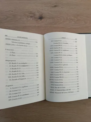 Dante Alighieri.Estudio preliminar. Divina Comédia