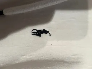 Felpa Ralph Lauren bianca con zip