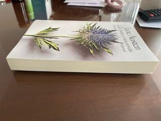 Lady Susan y otras novelas