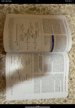 Biochimica e biologia per le professioni sanitarie
