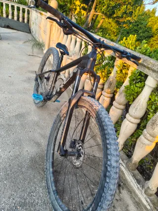 Mtb Trek roscoe 7 2024