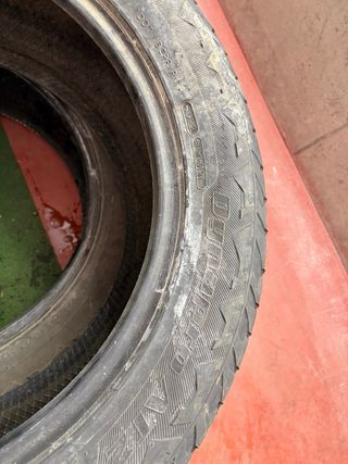 Neumáticos 255/55R19