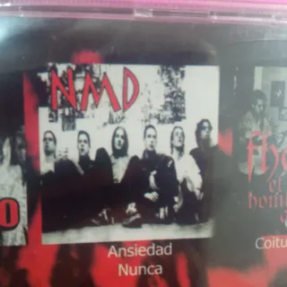 CD varios grupos Compilatorio(t)