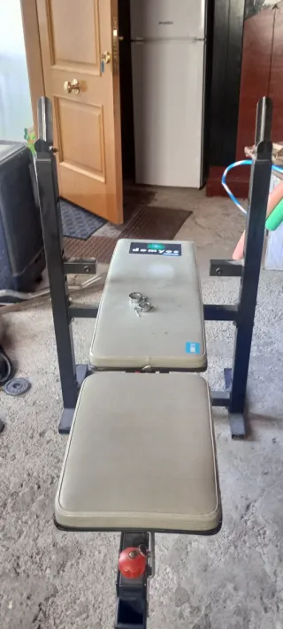 Press banca con pesas (80kg), mancuernas y barras.