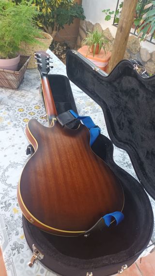 Ibanez AS53-TF Guitarra Eléctrica + Funda