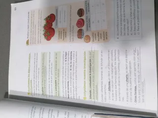 Ciencias de la Naturaleza 3 Primaria