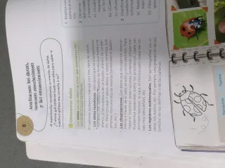 Ciencias de la Naturaleza 3 Primaria