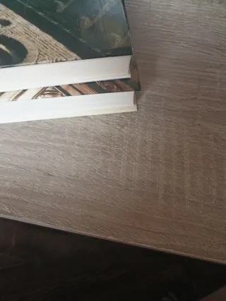 Arquitectura Civil En Zaragoza En El Siglo XVI ...