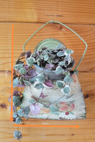 Decoração de lata com borboletas