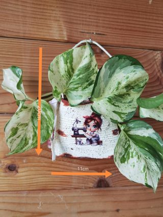 Decoração Artesanal Costura Lata