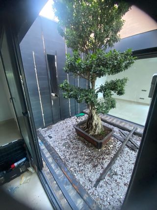 Lamas composite para exteriores