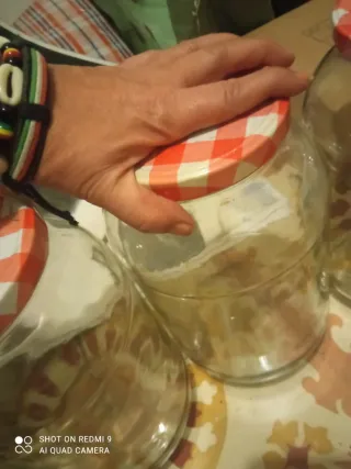 8 Botes grandes de Cristal Herméticos.