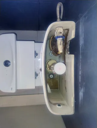 Servicio de fontanería. Pintura. Reformas.