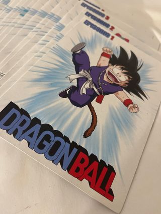 Lote DVD Dragon Ball (Español)