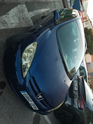 Peugeot 307 sw 2005