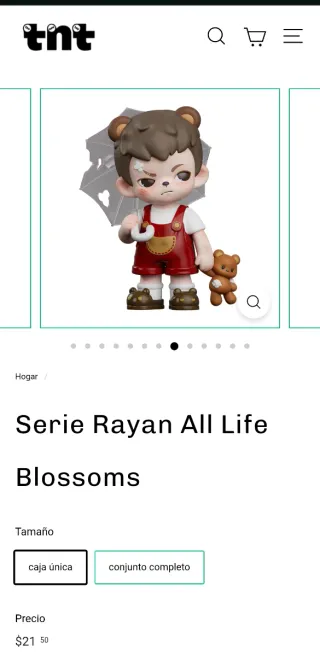 Figura Boy Rayan x TNT Space  All Life Blossoms