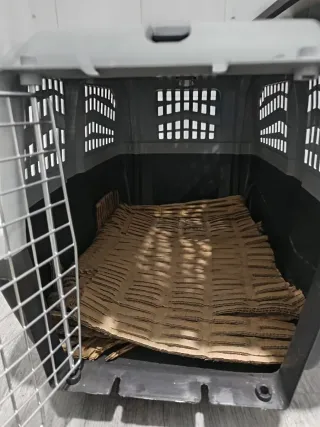 Transportín perro mediano gris y marrón