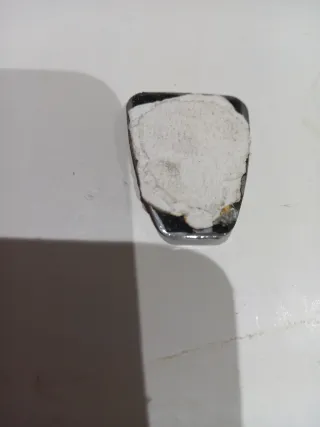 Insignia Lateral Rover