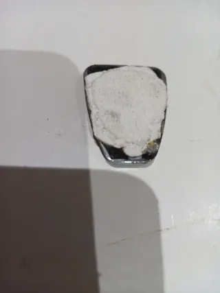 Insignia Lateral Rover