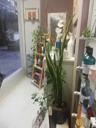 SE TRASPASA PELUQUERÍA POR JUBILACIÓN. TORRELAVEGA