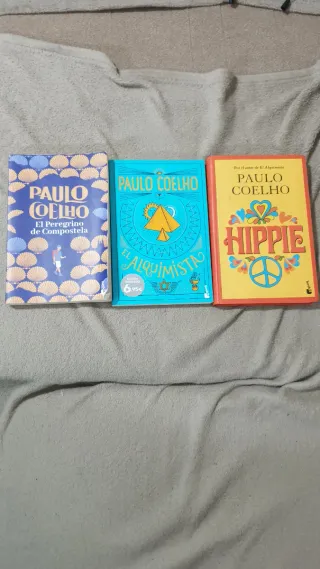 El Peregrino de Compostela: (Diario de un mago)